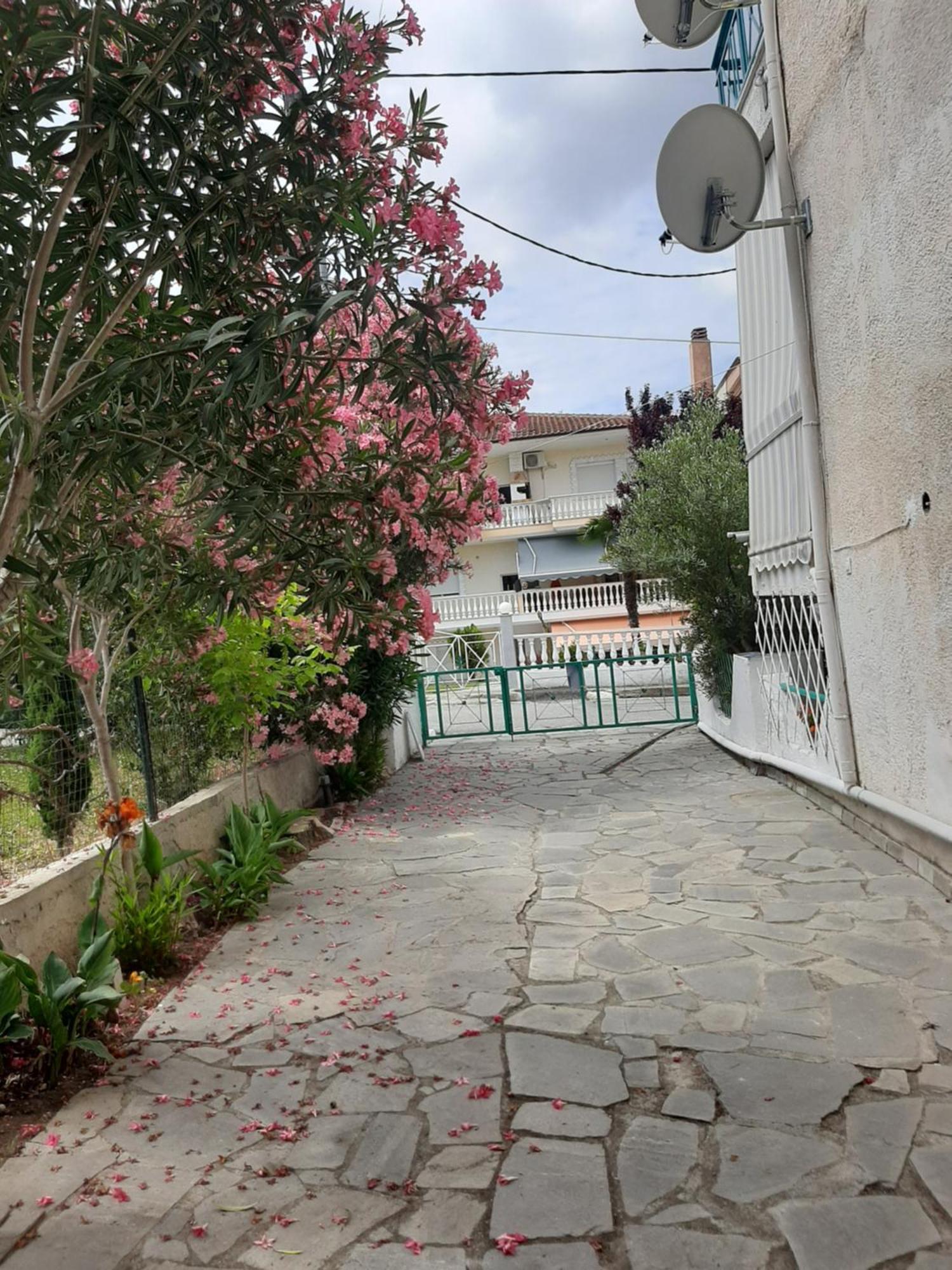 Appartamento Marely Cosy House Kallithea  Esterno foto